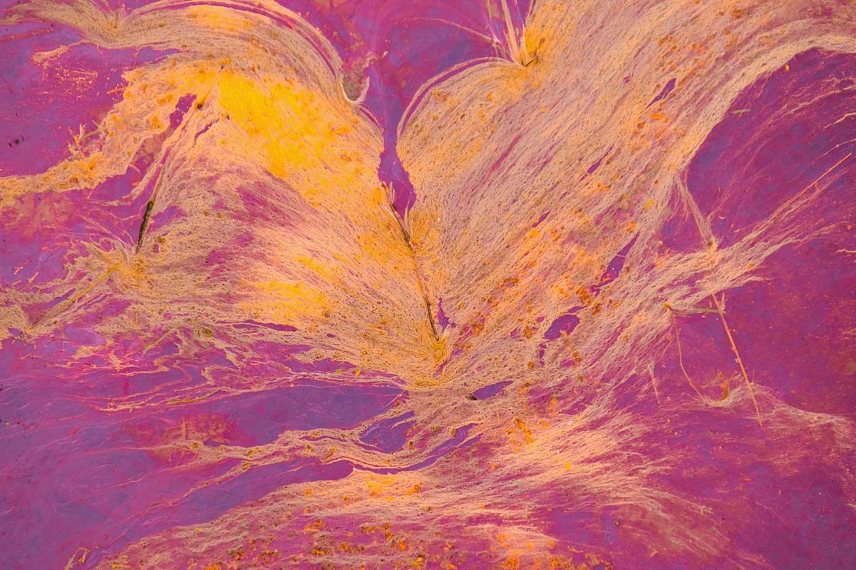 modern art yellow and orange abstract art art